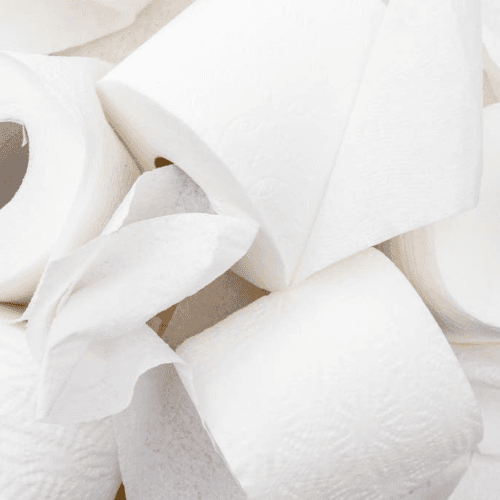 NeedB Toilet Paper Individual Roll